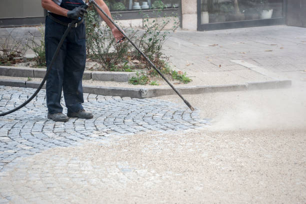 Best House Exterior Washing  in Berwyn Heights, MD